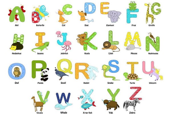 26个英语字母怎么读怎么写